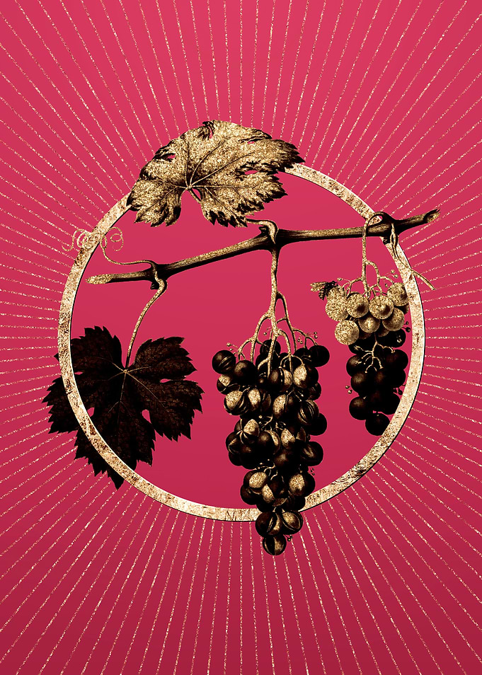 Viva Magenta Summer Grape