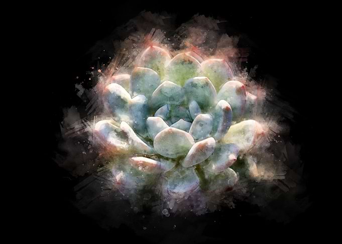 succulent smoke