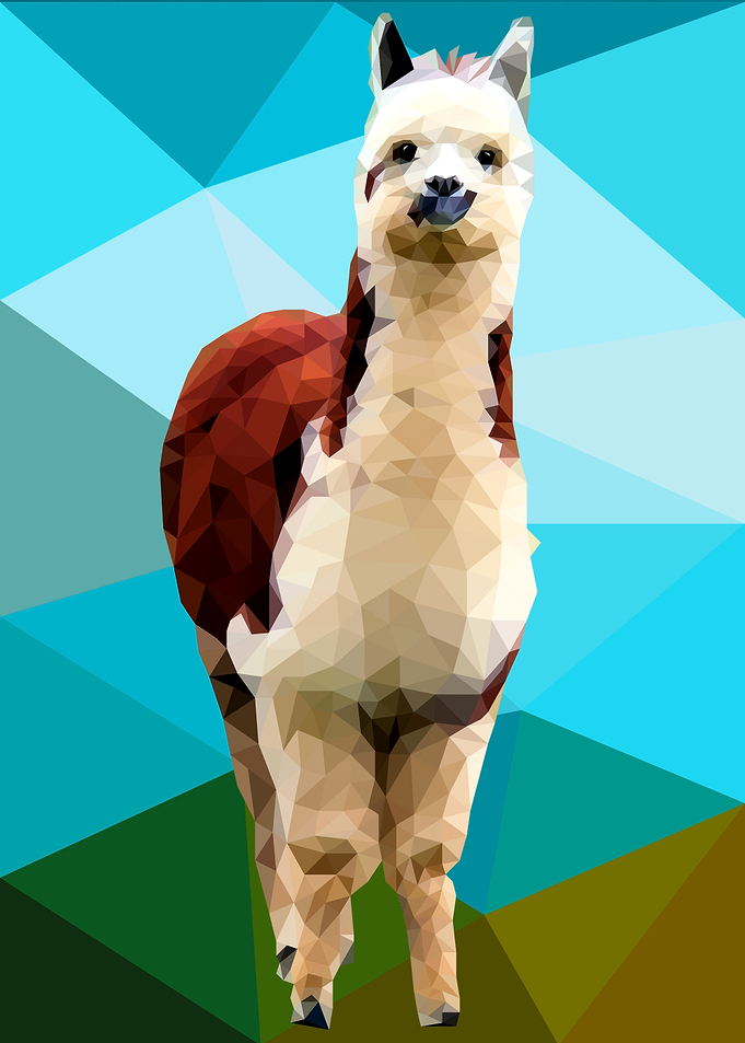 Alpaca