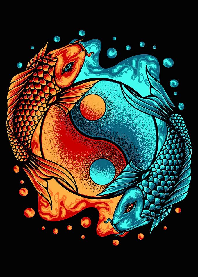 yin yang koi fish japan