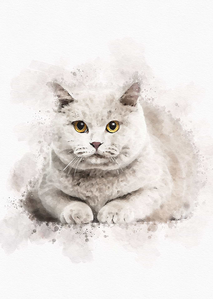 Vintage Cat Watercolor