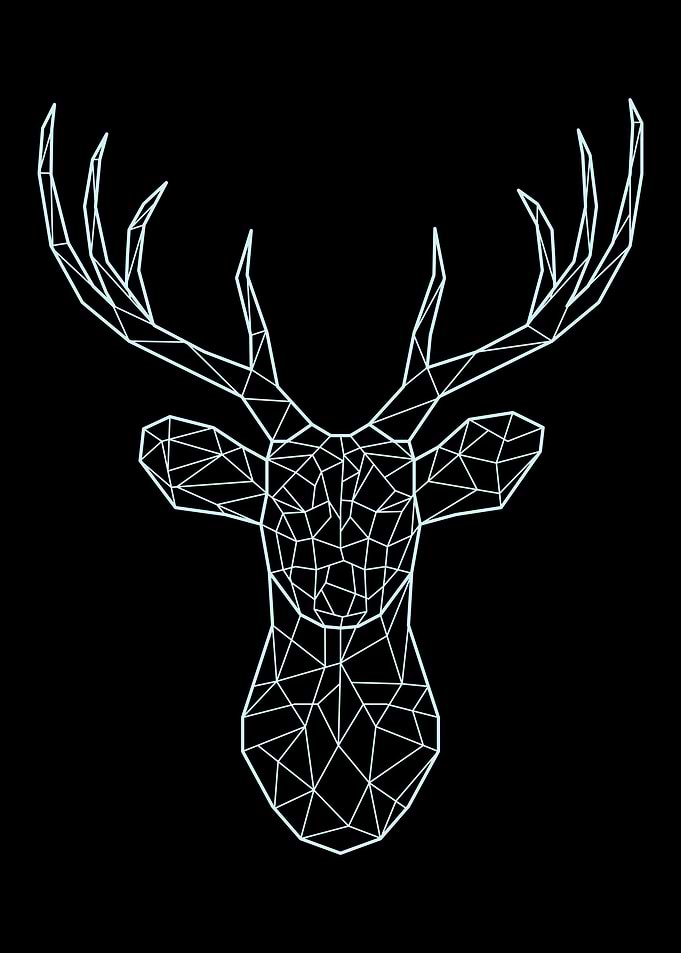Geometric Animal 8