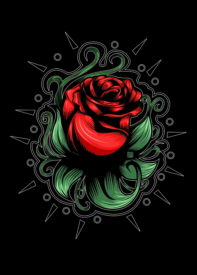 Amazing Rose