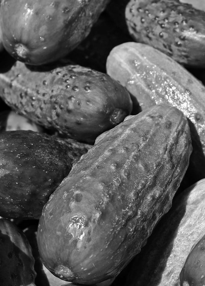 cucumbers gray