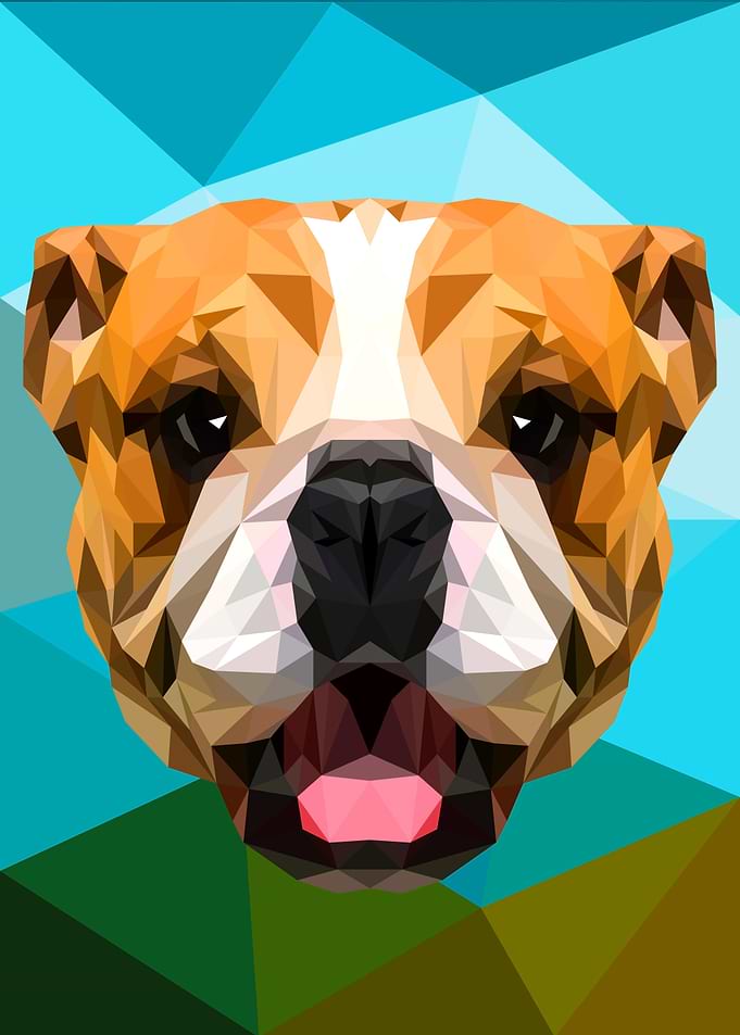 Bulldog