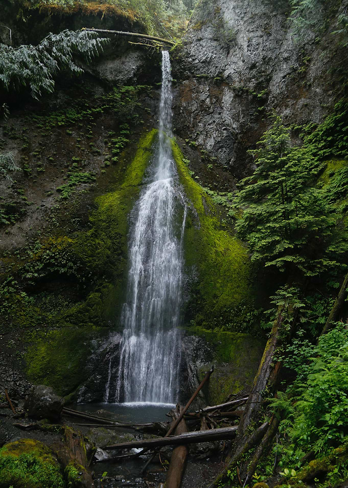 Olympic National Park