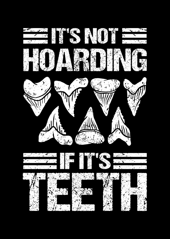 Shark Teeth Collecting