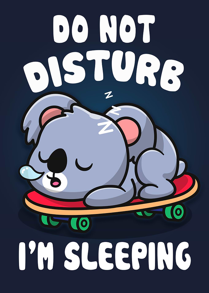Koala Sleep Dont Disturb