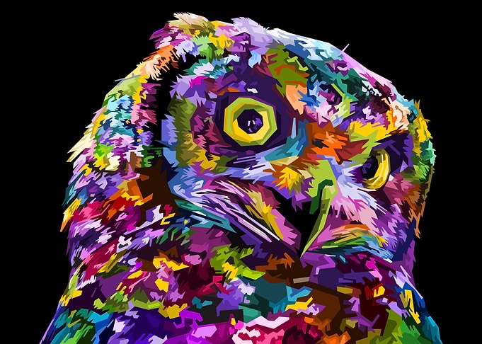 Colorful owl on pop art