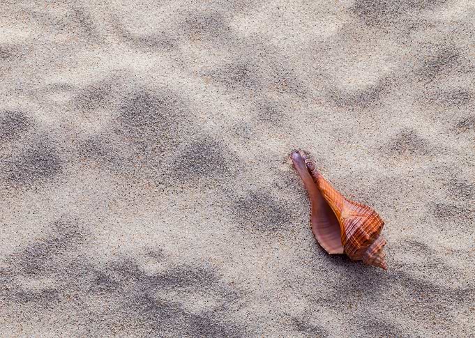 ocean
