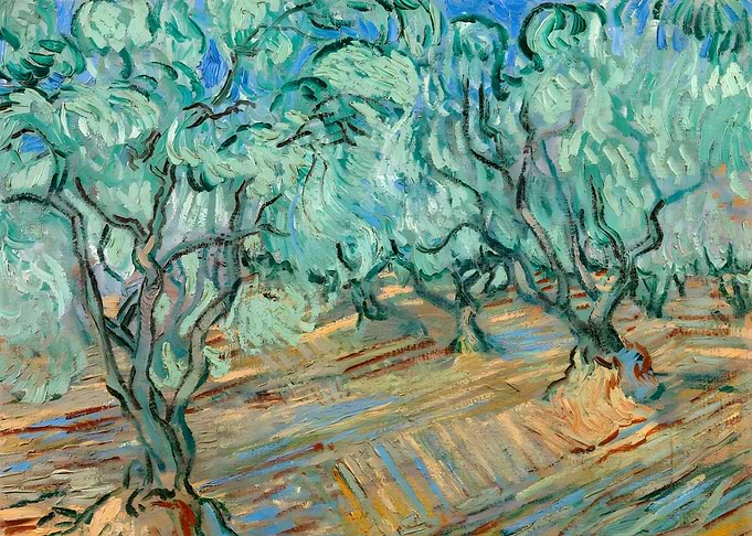 Van Gogh Olive Grove