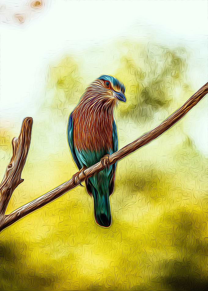 Bird