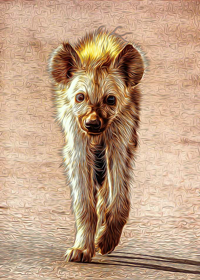 Hyena