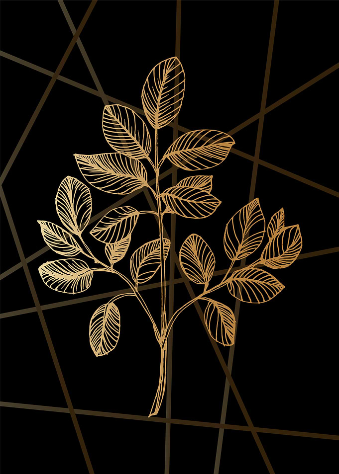Eucalyptus Minimal