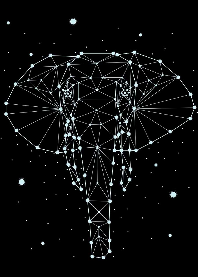 constellation animal 9