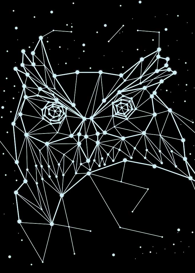 constellation animal 1