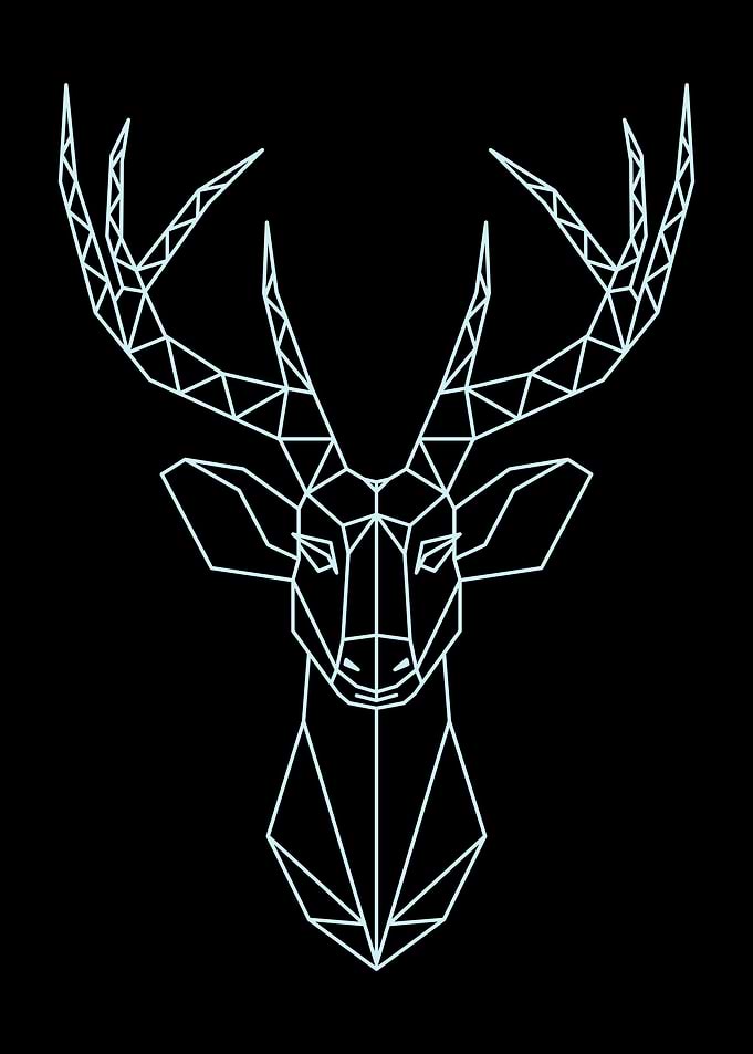 Geometric Animal 11