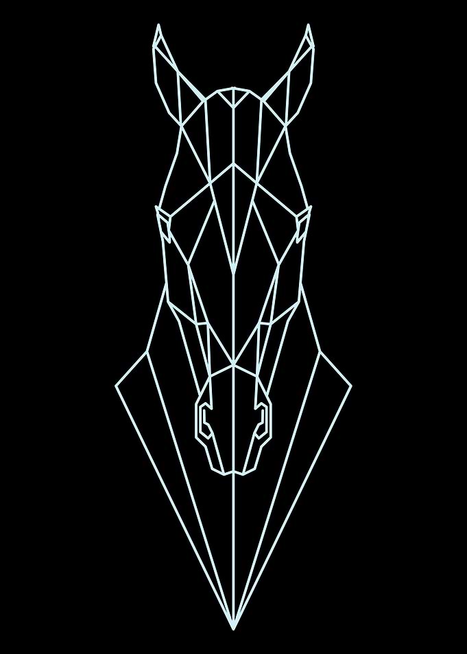 Geometric Animal 13
