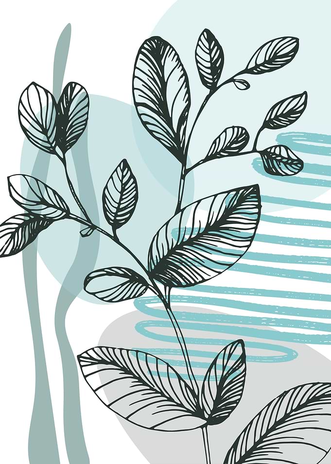 Eucalyptus Neutral