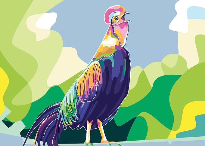 Junggle Fowls Chicken