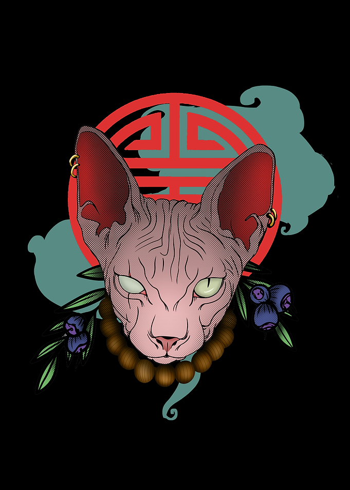 Japanese Sphynx Cat