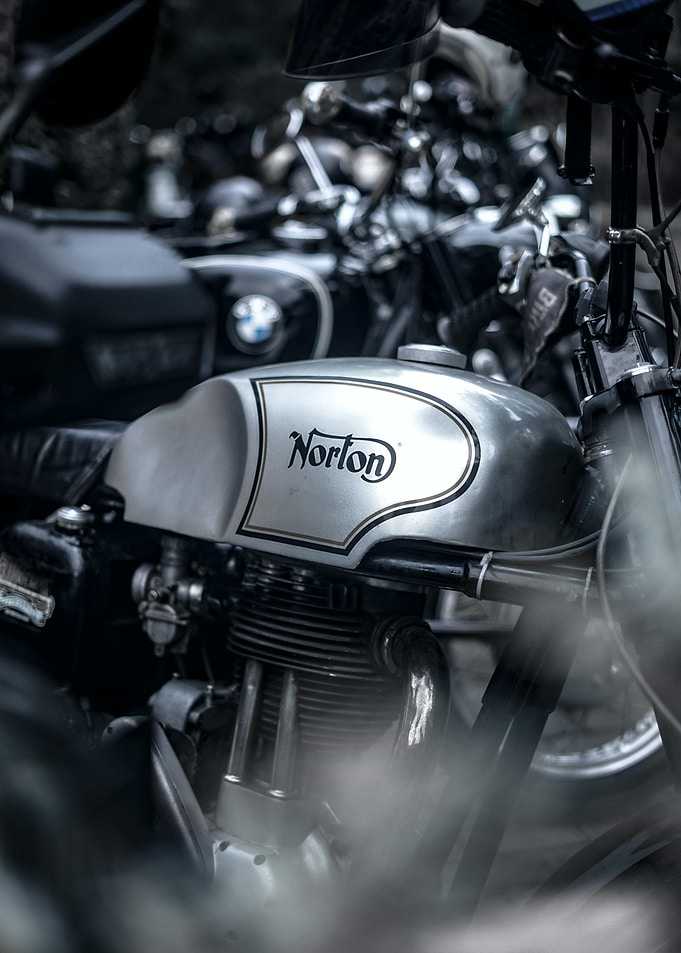 Norton