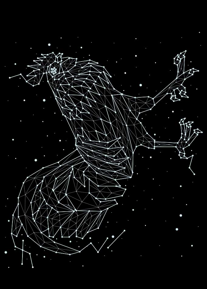 constellation animal 6