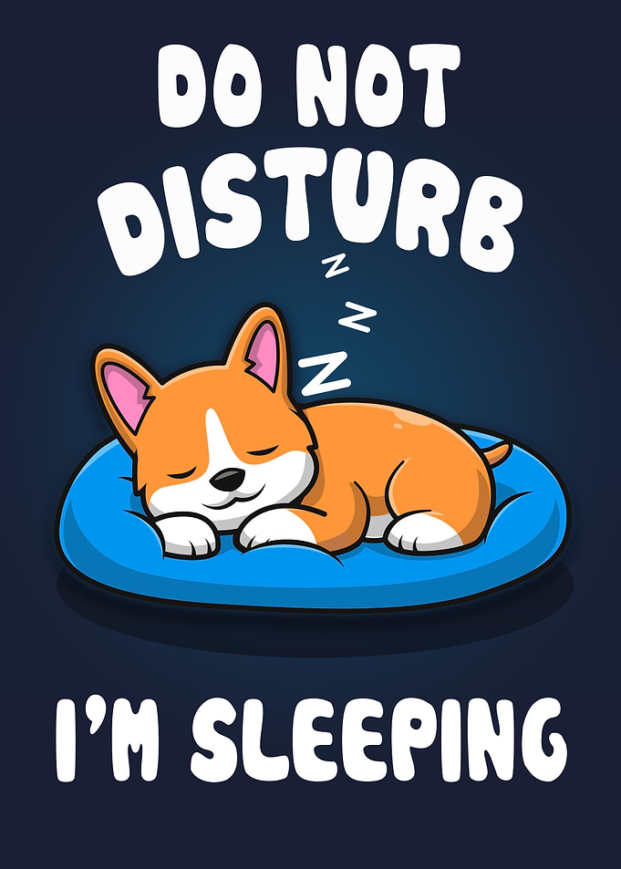 Corgi Sleep Dont Disturb