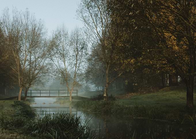 The Bridge