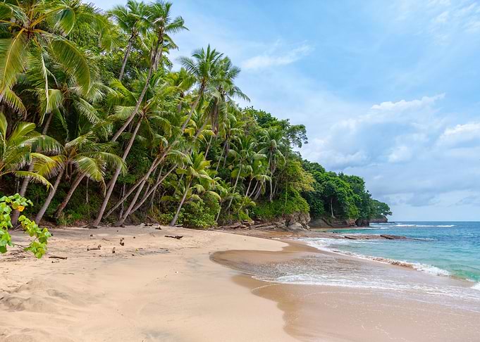 Tropical Beach