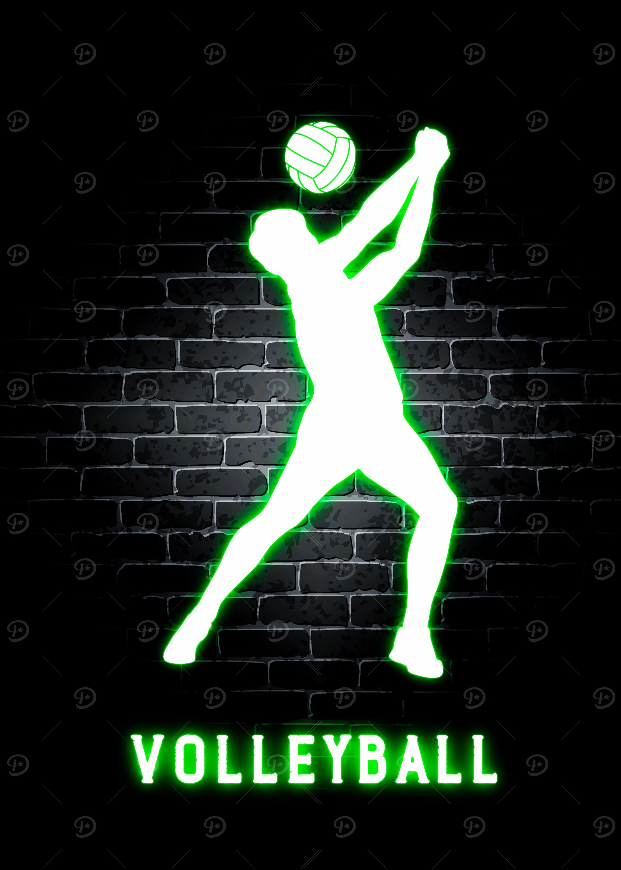 Volleyball Neon Sports