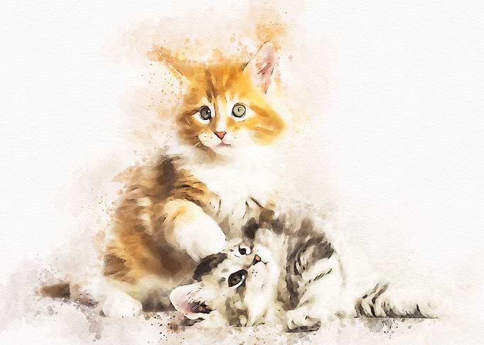 Watercolor Cat Cute
