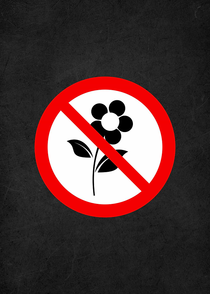 no flower warning sign