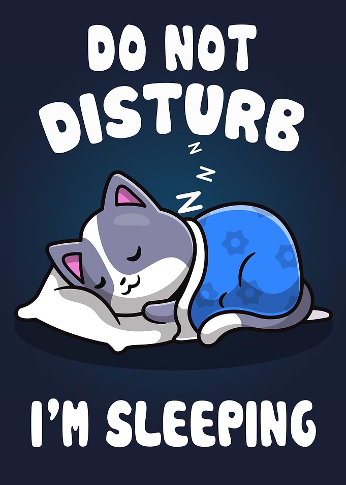 Cat Sleep Dont Disturb