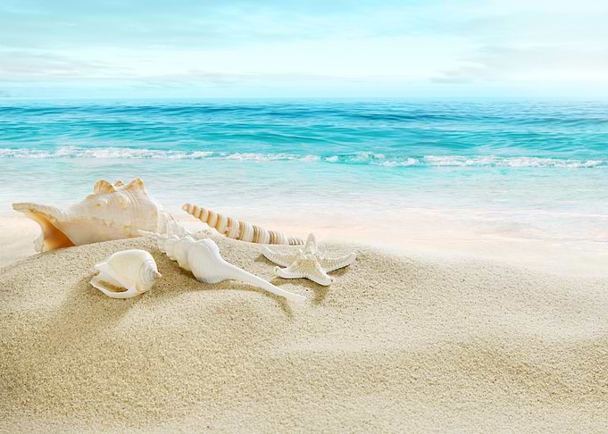 ocean