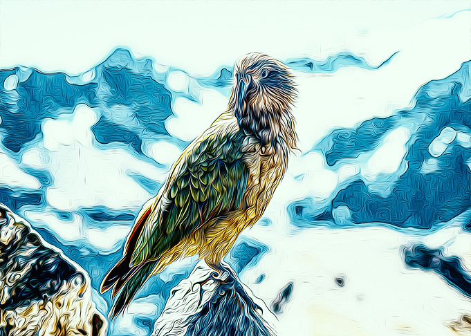 Parrot