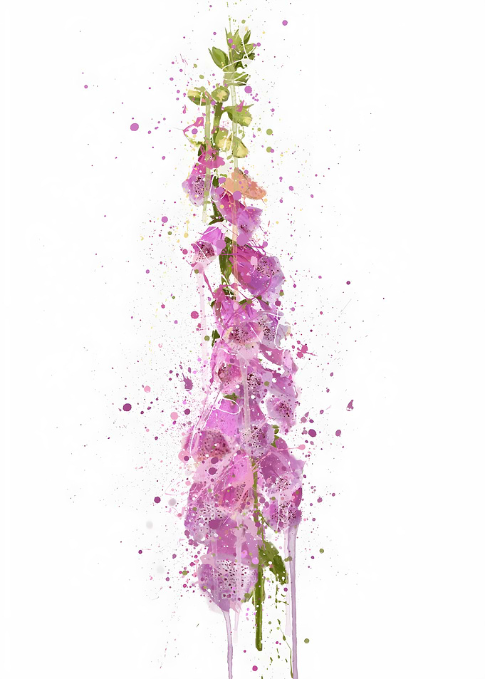 Botanical Flower Foxglove