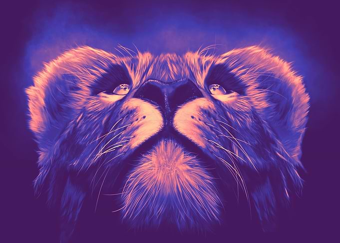 Lioness
