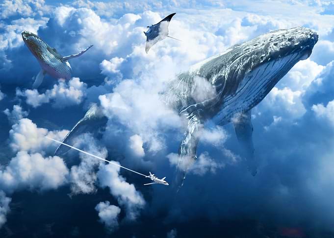 Cloud Whale