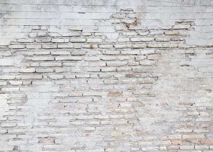Rustic Roman Brick Wall 1
