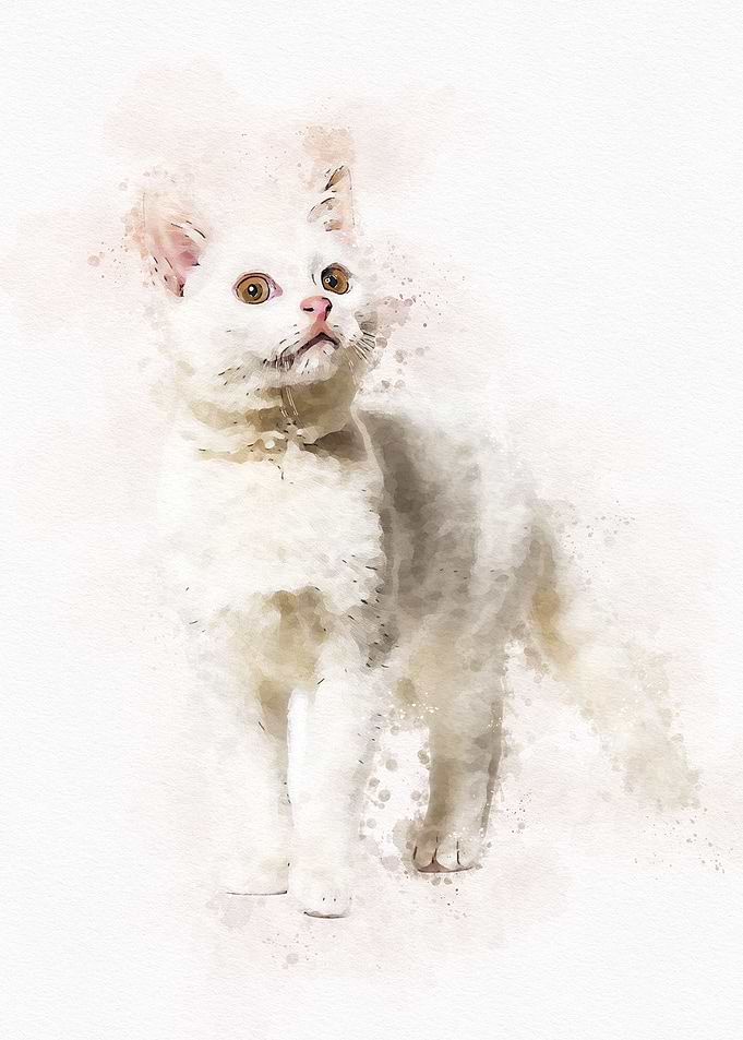 Watercolor Cat Cute