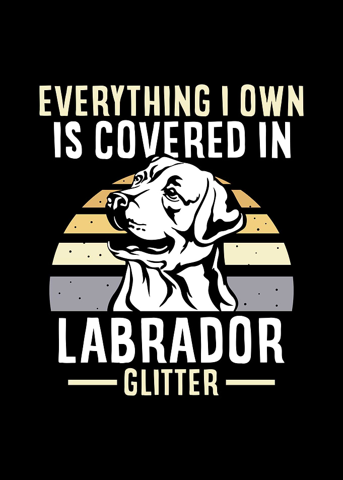 Labrador