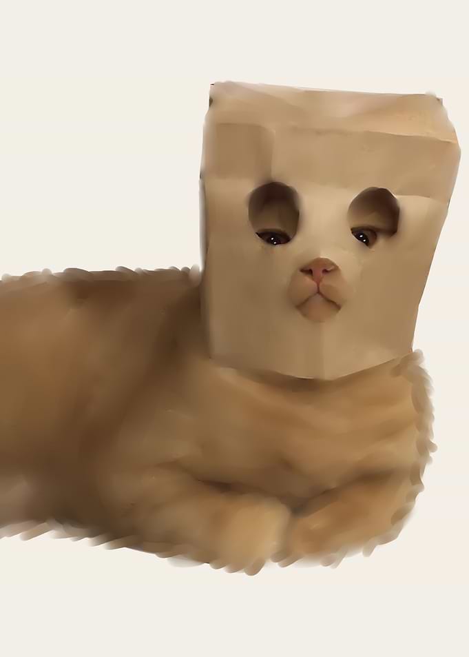 cat funny meme