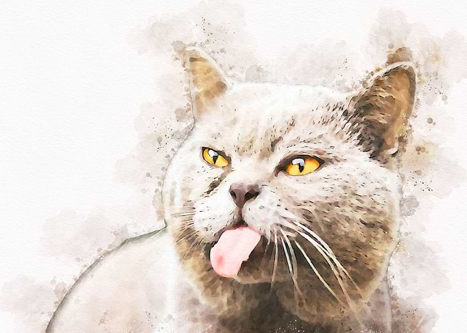 Watercolor Cat Cute