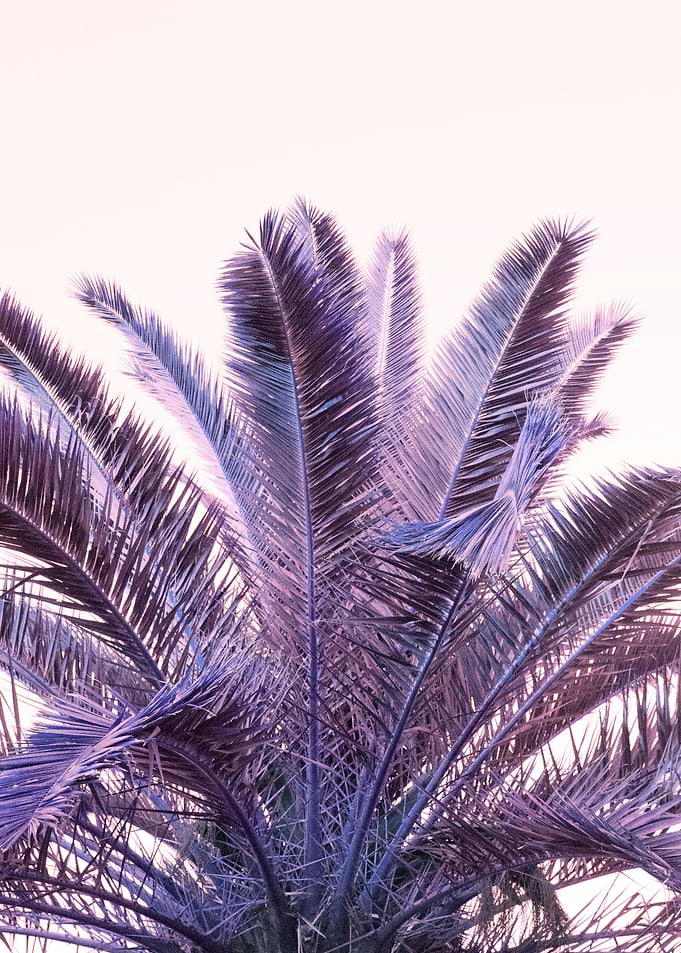 Palm Leaves Beach Dream 1