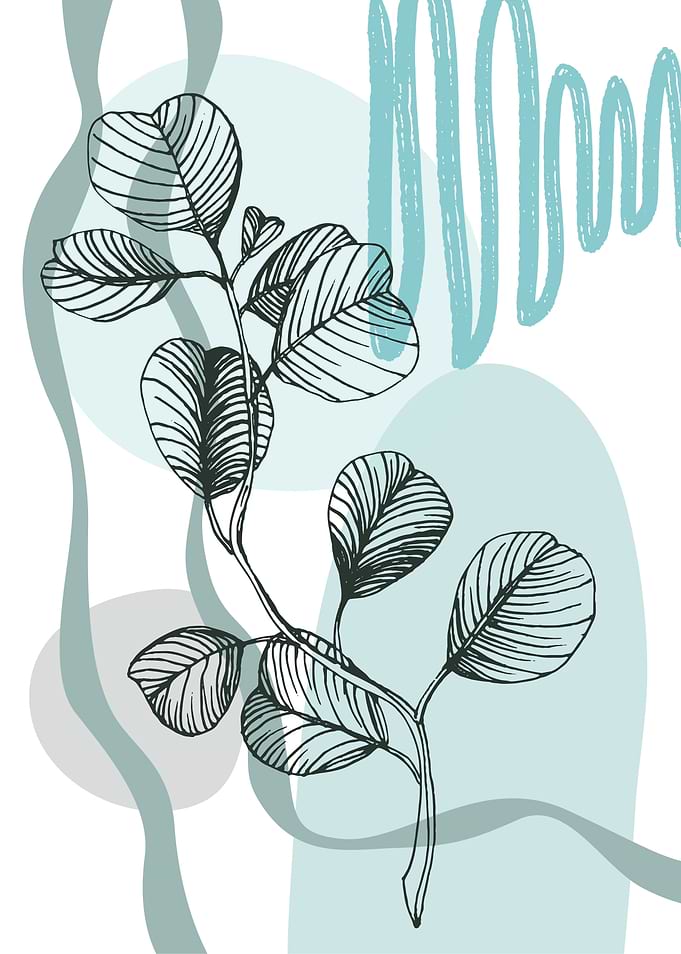 Eucalyptus