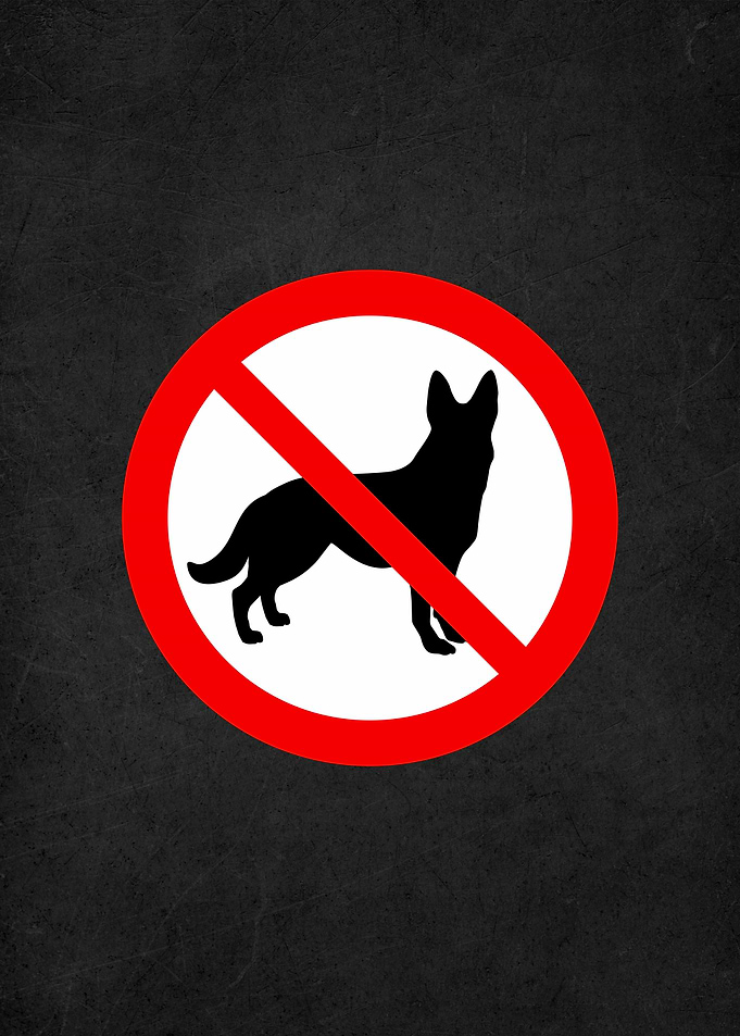 no dog warning sign