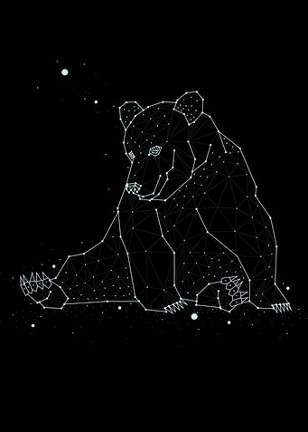 constellation animal 2
