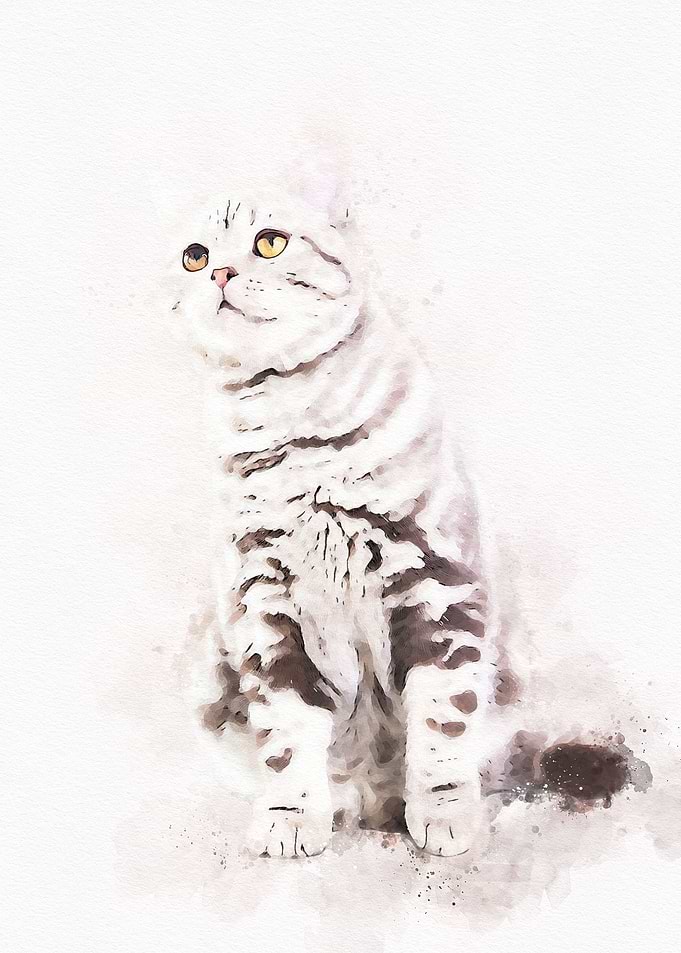 Watercolor Cat Cute