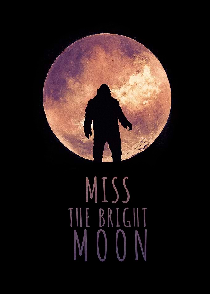 Miss The Bright Moon